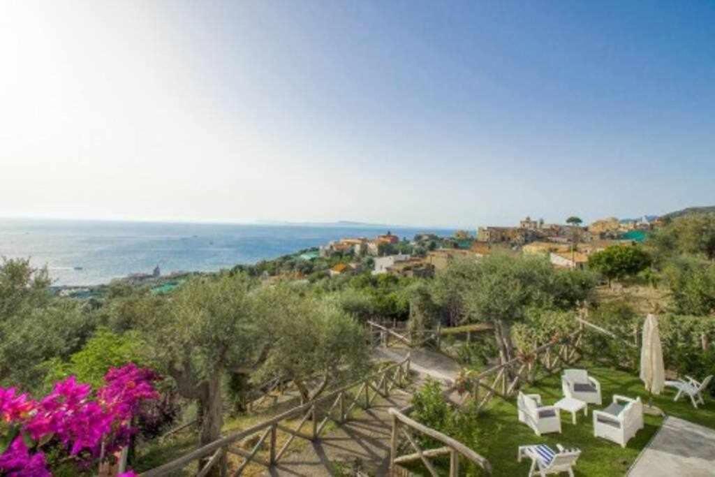 Villa Il Sogno Di Zia Ada Massa Lubrense Exterior foto